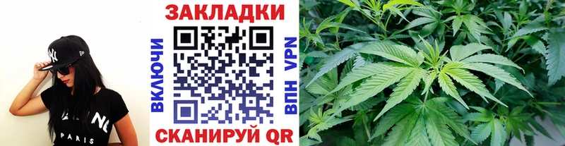 Где купить Анжеро-Судженск ГАШ  Конопля  COCAIN  МЕФ 