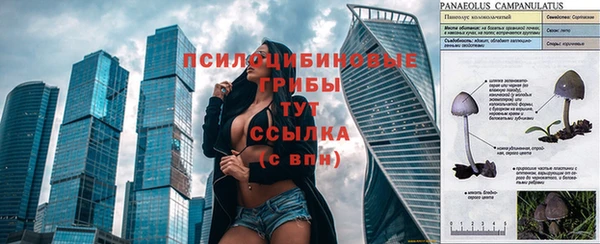 молекула духа Алексин