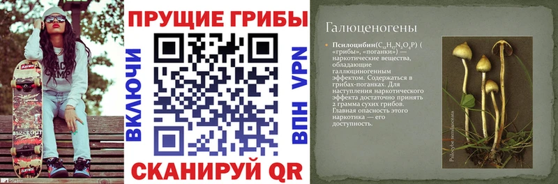 Псилоцибиновые грибы мицелий  купить наркотик  KRAKEN ссылка  Анжеро-Судженск 
