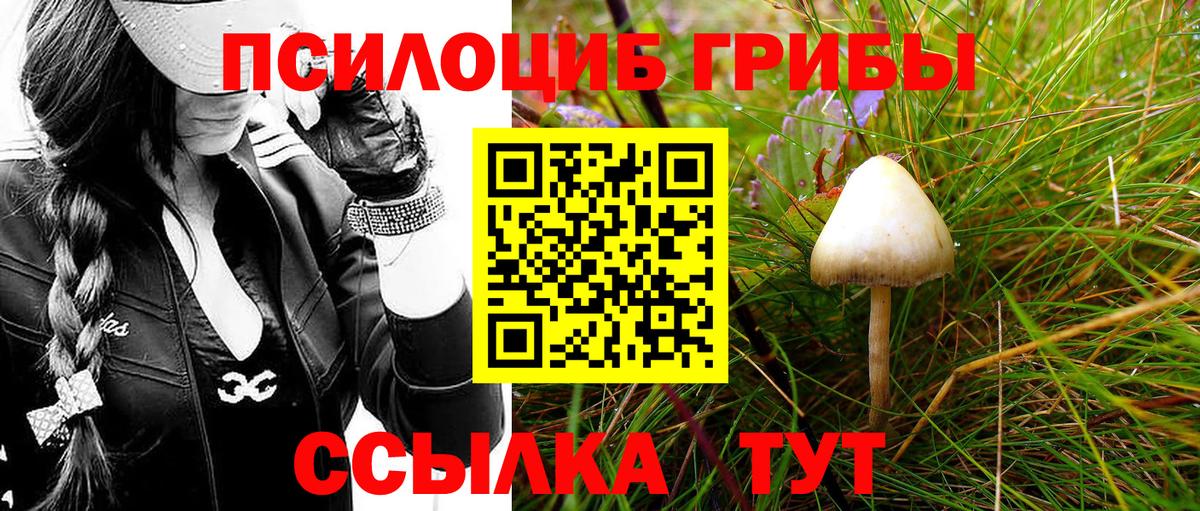 Галлюциногенные грибы Psilocybine cubensis  Вход с VPN  Анжеро-Судженск 