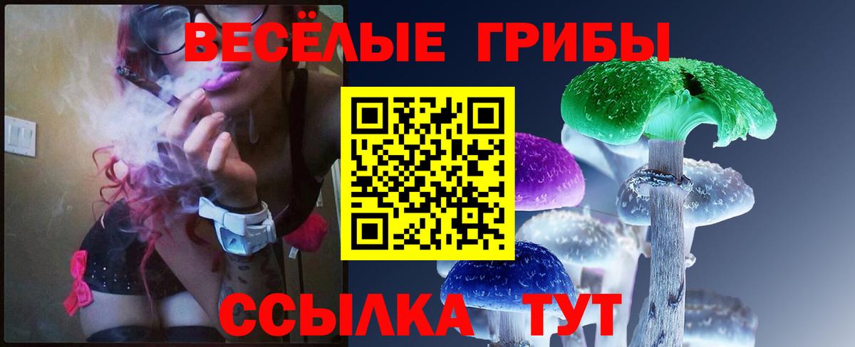 Псилоцибиновые грибы ЛСД Анжеро-Судженск