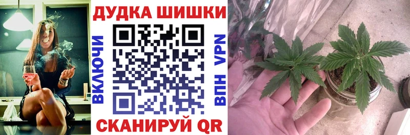 Бошки Шишки White Widow  Анжеро-Судженск 